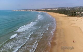 Spiaggia-pisciotto-tripatore (Custom)