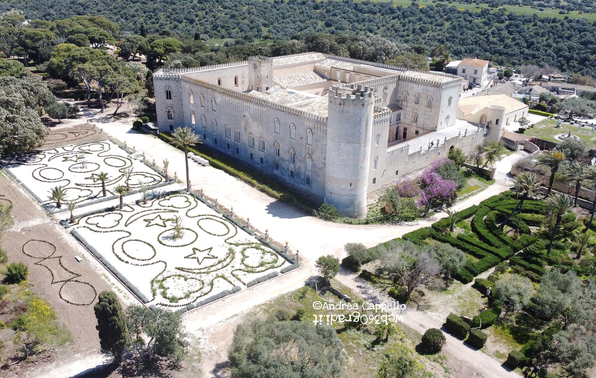 DCIM101MEDIADJI_0069.JPG Downhill Skiing